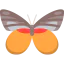 Butterfly icon 64x64