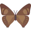 Butterfly icon 64x64
