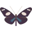 Butterfly icon 64x64