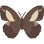 Butterfly icon 64x64