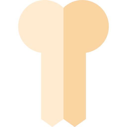 Bone icon