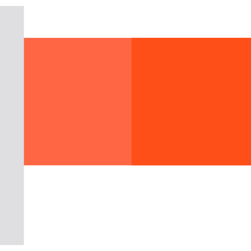 Flag icon