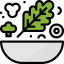 Salad icon 64x64