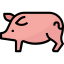 Pork icon 64x64