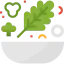 Salad icon 64x64