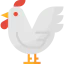 Chicken icon 64x64