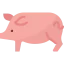 Pork icon 64x64