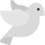 Dove icon 64x64