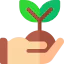 Sprout icon 64x64