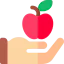 Apple icon 64x64
