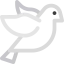 Dove icon 64x64