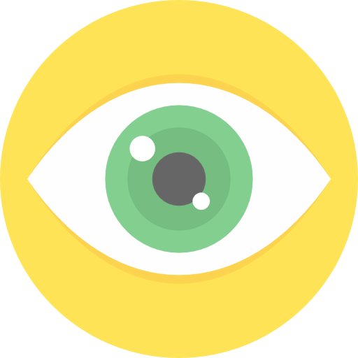 Vision icon