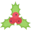 Mistletoe icon 64x64
