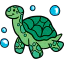 Tortoise icon 64x64