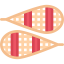 Snowshoes ícono 64x64