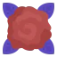 Rose icon 64x64