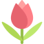 Tulip icon 64x64