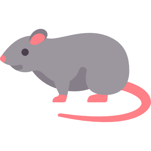 Rat icon