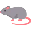 Rat icon 64x64