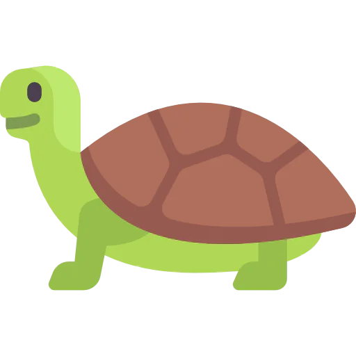 Turtle icon