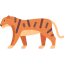 Tiger icon 64x64