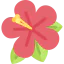 Hibiscus icon 64x64
