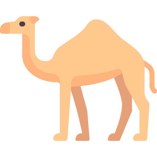 Camel іконка