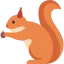 Chipmunk icon 64x64
