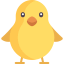 Chicken icon 64x64