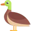 Duck icon 64x64