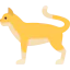 Cat icon 64x64