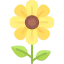 Flower icon 64x64