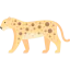 Leopard icon 64x64
