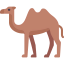Camel icon 64x64
