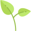 Plant icon 64x64