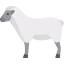 Ewe icon 64x64