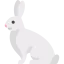 Rabbit icon 64x64
