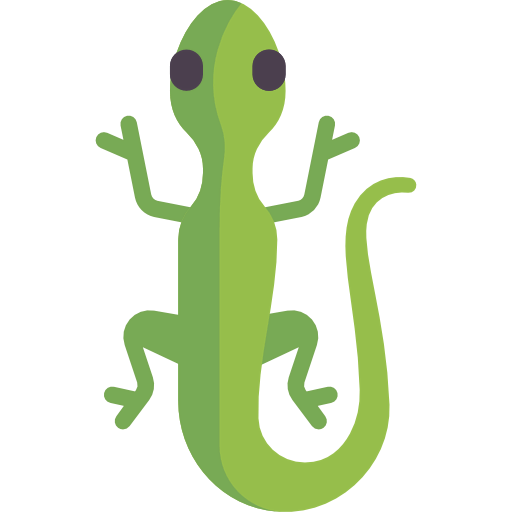Lizard icon