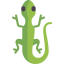 Lizard icon 64x64