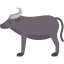 Buffalo icon 64x64