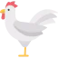 Hen icon 64x64