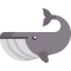 Whale icon 64x64