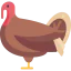 Turkey icon 64x64