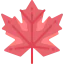 Maple leaf icon 64x64