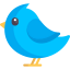 Bird icon 64x64