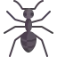 Ant icon 64x64