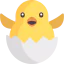 Chicken icon 64x64