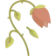 Flower icon 64x64
