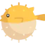 Blowfish icon 64x64