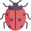 Ladybug icon 64x64
